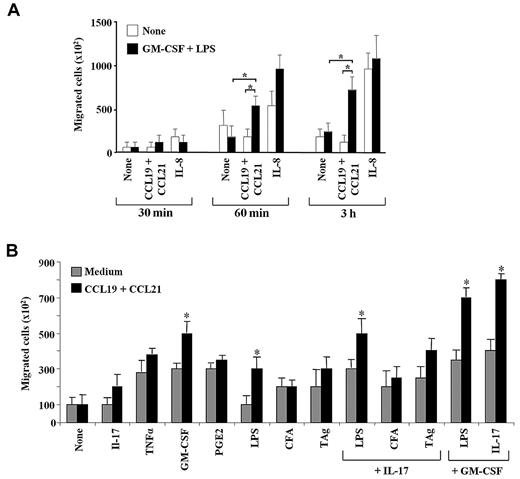 Figure 4. CCL19 and CCL21 induce the in vitro migration of human neutrophils. (A) Purified human neutrophils were first incubated or not with 20 ng/mL of GM-CSF and 500 ng/mL of LPS. Neutrophil chemotaxis in response to 300 ng/mL of CCL19 and 250 ng/mL of CCL21 or to 50 ng/mL of IL-8 was evaluated at 30 minutes, 60 minutes, and 3 hours in a Transwell assay. Results are expressed as the number of migrated cells (mean ± SEM, n = 5). *P < .05. (B) Human neutrophils were treated or not with 20 ng/mL of IL-17, 50 ng/mL of TNFα, 20 ng/mL of GM-CSF, 1 μg/mL of PGE2, 500 ng/mL of LPS, 20 μL of CFA, or 5 μg/mL of TAg. Chemotaxis was assessed using Transwell in response to a 3-hour stimulation with 300 ng/mL of CCL19 and 250 ng/mL of CCL21. Results are expressed as the number of migrated neutrophils (mean ± SEM, n = 5). *P < .05.