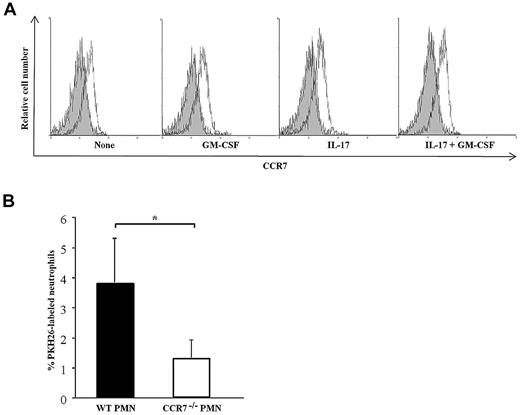 Figure 6. CCR7 is involved in the in vivo migration of neutrophils to the draining lymph nodes. (A) The expression of CCR7 on WT mouse neutrophils, stimulated or not with 50 ng/mL of GM-CSF and/or 20 ng/mL of IL-17, was evaluated by FACS using anti-CCR7 mAb (white histograms) compared with a control mAb (gray histograms). Results are representative of 1 of 5 experiments. (B) Neutrophils isolated from WT and Ccr7−/− mice were labeled with PKH26 and activated with GM-CSF and IL-17 before injection in WT mice. Lymph nodes cells were collected 6 hours after injection and incubated with an anti-neutrophil mAb. Results are expressed as the number of PKH26-labeled neutrophils in the draining lymph nodes (mean ± SEM, n = 5). *P < .05.