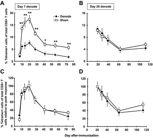 Figure 2. The DLNs are required for maximal CD8+ T-cell expansion but not for memory maintenance. B6 mice were immunized with 107 pfu of rHuAd5-SIINFEKL-Luc intramuscularly. The DLNs (popliteal, inguinal, iliac) were surgically removed 7 or 20 days later. Sham mice received the same incisions as denoded mice, but their LNs were not removed. The frequency of SIINFEKL-specific CD8+ T cells was measured by tetramer staining of peripheral blood after lymphadenectomy at day 7 (A) or day 20 (B). Each data point represents the average (± SEM) of 5 mice in each experiment. (C-D) Data in panels A and B were normalized to the peak response of each group (ie, day 20 for both denode and sham mice). *P < .05, **P < .01.