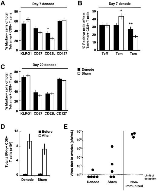 Figure 4. Early removal of the DLNs alters memory CD8+ T cell phenotype but not secondary responses. (A,C) B6 mice were immunized with 107 pfu of rHuAd5-SIINFEKL-Luc intramuscularly and their DLNs were surgically removed 7 or 20 days later. Spleens were harvested from these mice approximately 100 days after surgery and SIINFEKL-specific CD8+ T cells were identified using tetramer staining. Expression of various phenotypic markers on tetramer-positive CD8+ T cells was examined after lymphadenectomy shown at day 7 (A-B) or day 20 (C). (B) Frequency of TEFF (CD127−CD62L−), TEM (CD127+CD62L−), and TCM (CD127+CD62L+) within the tetramer-positive population after LN removal at day 7. Data points represent a total (± SEM) of 8 to12 mice. (D-E) B6 mice were immunized with 107 pfu of rHuAd5-SIINFEKL-Luc intramuscularly and their DLNs were surgically removed 7 days later. Mice were challenged intraperitoneally with 107 pfu of rVV-ESOVA approximately 100 days after surgery. (D) Total number of SIINFEKL-specific IFN-γ+ CD8+ T cells in the spleen before and 7 days after rVV challenge. Data points represent a total (± SEM) of 5 mice. (E) Virus titers in the ovaries 7 days after rVV challenge. Each point represents a single mouse. *P < .05, **P < .01.