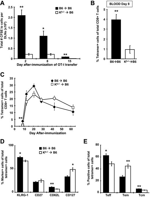 Figure 5. Antigen presentation is dramatically reduced and memory CD8+ T-cell phenotype is altered when nonhematopoietic cells are the only functional APCs, but kinetics and magnitude of the CD8+ T-cell response are similar. B6→B6 and Kb−/−→B6 chimeras were immunized with 107 pfu of rHuAd5-SIINFEKL-Luc intramuscularly. (A) At various days after immunization, mice were injected intravenously with 5 × 105 CFSE-labeled cells harvested from the LNs of Thy1.1+ OT-I mice. The DLNs were harvested 4 days after transfer and CFSE dilution was measured in the Thy1.1+ population. Total number of proliferated (CFSElo) cells in the DLNs is shown. Each data point represents the mean (± SEM) from a total of 4 mice. (B-C) Frequency of SIINFEKL-specific CD8+ T cells was measured by tetramer staining of peripheral blood at day 8 (B) or at various time points (C) after immunization. Data points represent a total of 5 to 12 mice (± SEM). (D) Expression of various phenotypic markers on tetramer-positive CD8+ T cells in the spleen at 42 days after immunization. (E) The frequency of TEFF (CD127−CD62L−), TEM (CD127+CD62L−), and TCM (CD127+CD62L+) within the tetramer-positive population at day 42. Data in panels D and E represent the mean (± SEM) for 4 mice and are reflective of 2 experiments with similar results (n = 4 for each experiment). *P < .05, **P < .01.