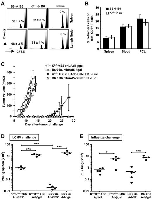 Figure 6. Antigen presentation by nhAPCs alone alters CD8+ T-cell protective capacity but not lytic activity or secondary responses. B6→B6 and Kb−/−→B6 chimeras were immunized with 107 pfu of rHuAd5-SIINFEKL-Luc intramuscularly. (A) In vivo lytic activity of SIINFEKL-specific CD8+ T cells at 42 days after immunization. SIINFEKL- and KAVYNFATM-pulsed Thy1.1+ splenocytes were labeled with a low concentration (0.5μM) and high concentration (5μM) of CFSE, mixed at a 1:1 ratio and adoptively transferred into immunized mice. Spleens and DLNs were removed 4 hours later. Data shown are gated on Thy1.1+ cells. The specific killing in each histogram represents the mean percentage (± SEM) for 5 mice. (B) Secondary expansion of SIINFEKL-specific CD8+ T cells after rVV challenge. Chimeras that were immunized 42 days previously with rHuAd5-SIINFEKL-Luc were challenged intraperitoneally with 107 pfu of rVV-ESOVA. SIINFEKL-specific CD8+ T cells were measured using tetramer staining 7 days after challenge. Data represent the mean (± SEM) for 10 mice per group. Cells measured from blood, spleen, and peritoneal cavity lavage (PCL) are shown. (C) Tumor growth after B16M05 challenge. Chimeras that were immunized 20 days previously with 107 pfu of rHuAd5-SIINFEKL-Luc or a control virus (rHuAd5-βgal) were challenged intradermally with 106 B16M05 tumor cells, and tumor size was monitored daily. Data represent the mean tumor volume (± SEM) for 5 mice per group. (D) Virus titers in the spleen after LCMV-WE challenge. Chimeras that were immunized intramuscularly 24 days previously with 108 pfu of rHuAd5-GP33-ER (Ad-GP33) or rHuAd5-βgal (Ad-βgal) were challenged intravenously with 200 pfu of LCMV-WE. Spleens were harvested 3 days after challenge. (E) Virus titers in the lung after influenza virus challenge. Chimeras that were immunized intranasally 30 days previously with 5 × 107 pfu of rHuAd5-NP (Ad-NP) or rHuAd5-βgal (Ad-βgal) were challenged intranasally with 105 pfu of mouse-adapted influenza A virus. Lungs were harvested 5 days after challenge. For data in panels D and E, each point represents a single mouse. *P < .05, ***P < .001.