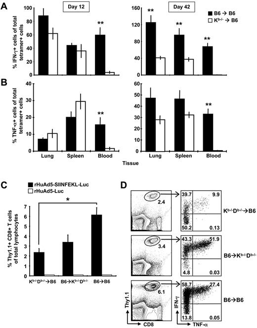 Figure 7. Both conventional APCs and nhAPCs are required for optimal CD8+ T-cell expansion and cytokine production. (A-B) B6→B6 and Kb−/−→B6 chimeras were immunized with 107 pfu of rHuAd5-SIINFEKL-Luc intramuscularly and spleens, lungs and blood were harvested 12 or 42 days later. SIINFEKL-specific CD8+ T cells were identified using tetramer staining or intracellular cytokine staining. The percentage of tetramer-positive cells that produce IFN-γ (A) or TNF-α (B) was calculated by dividing the frequency of IFN-γ+ cells or TNF-α+ cells by the frequency of tetramer-positive cells and multiplying by 100. Each histogram represents the mean percentage (± SEM) for 8 mice. (C-D) Kb−/−Db−/−→B6, Kb−/−Db−/−→B6, and B6→B6 mice chimeras received 5 × 104 Thy1.1+ OT-I CD8+ T cells intravenously. The next day, mice were immunized with 108 pfu of rHuAd5-SIINFEKL-Luc intramuscularly. The frequency of SIINFEKL-specific CD8+ T cells were measured in the peripheral blood at day 8 by staining for Thy1.1 (C) or by intracellular cytokine staining for IFN-γ (D). Data points represent a total of 3 to 6 mice (± SEM) in each experiment. (D) Right panels show coexpression of IFN-γ and TNF-α by Thy1.1+ CD8+ T cells in each type of chimera. Value in each quadrant represents the mean frequency of Thy1.1+ cells in that quadrant. Frequency in the left panels represents the mean of Thy1.1+ cells of total lymphocytes. Frequency was calculated from a total of 3 to 6 mice per group. *P < .05, **P < .01.