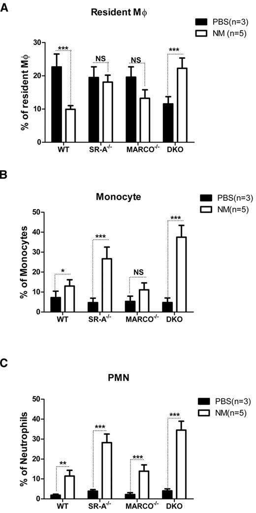 Figure 2. SR-A and MARCO regulate leukocyte trafficking during NM-induced peritonitis. WT, SR-A−/−, MARCO−/−, and DKO mice were injected intraperitoneally with 1 × 105 CFU of inactivated NM or equal volumes of PBS. After 2 hours, the percentage of resident macrophages (A), recruited monocytes (B), and neutrophils (C) from total leukocytes were determined in peritoneal exudates by flow cytometry and compared among strains. No significant difference in the number of monocytes and neutrophils was observed among the mouse strains in the vehicle-injected groups. Similarly, no significant difference was observed in the number of resident macrophages in PBS-treated SR-A and MARCO mice compared with WT mice, but PBS-treated DKO mice showed significantly fewer resident macrophages (P ≤ .01). Comparisons between PBS-treated (n ≥ 3) and NM-treated (n = 5) groups are presented and are representative of 3 independent experiments. The 2-way ANOVA with Bonferroni posttest was used to assess statistical significance. *P ≤ .05; **P ≤ .01; ***P ≤ .001