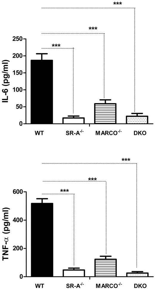 Figure 4. SR-A and MARCO promote TLR3 activation by ligand delivery. Bg-PM from SR-A, MARCO, and DKO mice show reduced cytokine production following polyI stimulation compared with WT control. TNF-α and IL6 concentrations were measured in supernatants following 16 hours of stimulation of Bg-PM with 100 μg/mL of polyI. Two-way ANOVA with the Bonferroni posttest was used to assess statistical significance. ***P < .001