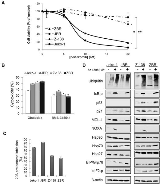 Figure 1. Characterization of 2 derived MCL cell lines resistant to bortezomib. (A) Dose-response of Jeko-1 and Z-138 parental, and JBR and ZBR derived cell lines exposed for 24 hours to bortezomib (bz) (*P < .04; **P < .003). (B) Jeko-1, JBR, Z-138, and ZBR cells were treated for 24 hours with 5μM BMS-345541 and 2μM obatoclax, and cytotoxicity was assessed by Annexin V/propidium iodide staining. Cytotoxic values are compared with untreated cells as the means ± SDs of triplicate experiments. (C) Jeko-1, JBR, Z-138, and ZBR cells were incubated with 15nM bortezomib for 8 hours, and the inhibition of 20S proteasome activity was analyzed as described in “Methods.” (D) Modulation of proteasome-degraded proteins, apoptotic regulators, and molecular chaperone levels in parental and resistant cells exposed to bortezomib. Total protein extracts from Jeko-1, JBR, Z-138, and ZBR cell lines incubated for 8 hours with 15nM bortezomib were analyzed by Western blotting. Membranes were probed with suitable antibodies, using ubiquitin conjugates and β-actin to normalize misfolded protein accumulation and protein loading, respectively. eIF2-p represents elongation initiation factor 2α phosphorylated.