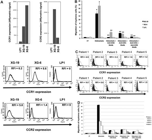 Figure 2. Gene and protein expression of CCR1 and CCR2 chemokine receptors. (A) Data are Affymetrix signals for CCR1 (probe set 205098_at) and CCR2 (probe set 206978_at) in LP1, XG-19, and XG-6 HMCLs. Membrane expression of CCR1 or CCR2 was evaluated by flow cytometry using PE-conjugated anti-CCR1 or anti-CCR2 mAbs or isotype-related PE-conjugated control mAbs. The numbers in the panels are the RFI of the PE-conjugated anti-CCR1 or anti-CCR2 mAbs compared with the PE-conjugated control mAbs. (B) The chemoattractant activity of osteoclasts to myeloma cells was assayed using XG-19, XG-6, and LP1 HMCLs. Data are the fraction of MMC in the upper chamber of the transwell that could migrate to the lower chamber. Results are the mean values plus or minus SD of 3 experiments. *Significant difference of MMC migration in MMC/osteoclast cocultures compared with control using a paired Student t test (P ≤ .05). **Significant difference of MMC migration in MMC/osteoclast cocultures with anti-CCR1 and/or anti-CCR2 mAb compared with MMC/osteoclast cocultures using a paired Student t test (P ≤ .05). (C) The expression of CCR1 and CCR2 by CD138+ primary myeloma cells of patients was evaluated by flow cytometry using FITC-conjugated anti-CD138 mAb and PE-conjugated anti-CCR1 or anti-CCR2 mAbs labeling. Isotype-matched FITC-conjugated or PE-conjugated mAbs recognizing no human antigens were used as control mAb. The numbers in the panels are the RFI of the PE-conjugated anti-CCR1 or anti-CCR2 mAbs compared with the PE-conjugated control mAbs. (D) The chemoattractant activity of osteoclasts to myeloma cells was assayed using primary myeloma cells. Data are the fraction of primary MMC in the upper chamber of the transwell that could migrate to the lower chamber.