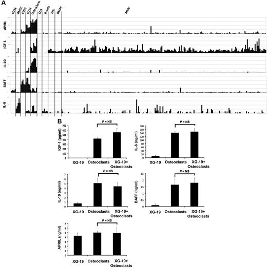 Figure 4. Gene expression of several myeloma cell growth factors. (A) Affymetrix APRIL, IGF-1, IL-10, BAFF, and IL-6 gene expression in BM CD34 cells (n = 5), BM stromal cells (n = 5), purified BM CD15 (n = 5), CD14 (n = 5) and CD3 cells (n = 5), osteoclasts (n = 7), normal memory B cells (n = 6), normal polyclonal plasmablasts (n = 7), normal BMPCs (n = 7), and purified myeloma cells from patients with MM (n = 131). (B) The concentrations of BAFF, APRIL, IL-10, IL-6, or IGF-1 were assayed with an enzyme-linked immunosorbent assay in 3-day culture supernatant of XG-1 and XG19 cells, osteoclasts, and XG-1/osteoclasts and XG-19/osteoclast cocultures. Results are the mean value of 3 independent experiments.