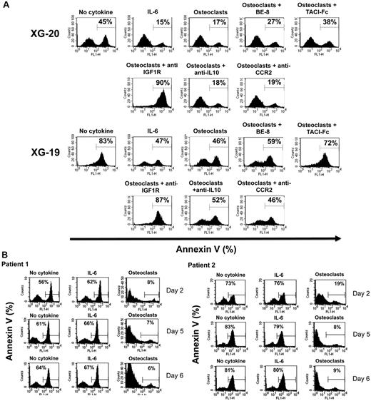 Figure 5. Osteoclasts promote the survival of cytokine-dependent myeloma cell lines. (A) XG-19 and XG-20 myeloma cells were cultured at 105 cells/mL without cytokine, or with IL-6 (2 ng/mL), or with 104 osteoclasts with or without anti–IL-6 (BE8) mAb (10 μg/mL), TACI-Fc (20 μg/mL), anti–IGF-1R mAb (4 μg/mL), anti–IL-10 mAb (10 μg/mL), or anti-CCR2 mAb (10 μg/mL). Cells were recovered after 3 days of culture, and apoptotic cells were detected by annexin V staining. Results are those of one experiment representative of 5. (B) Purified MMCs of patients were cultured at 105 cells/mL without cytokine or in the presence of osteoclasts (1 osteoclast for 4 MMC) or IL-6 (2 ng/mL). Cells were recovered after 2, 5, and 6 days of culture, and apoptotic cells were detected by annexin V staining.