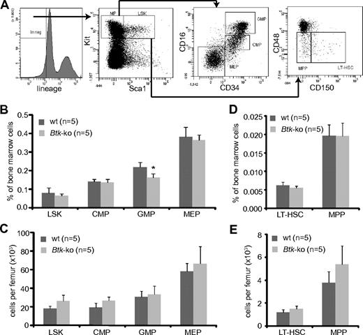 Figure 2. Numbers of GMP are reduced in Btk-deficient mice. (A) Bone marrow cells obtained from femurs and tibias were stained for lineage markers, Kit, Sca1, CD34, and FcRγII/III. The Lin−Sca1−Kit+ (MP = myeloid progenitor) population in the bone marrow was further analyzed for myeloid progenitor subpopulations CMP, GMP, and MEP by the expression of CD34 and FcRγII/III, and the LSK population for the expression of CD48 and CD150. Cells from the bone marrow of wild-type (wt) and Btk-ko mice were stained and analyzed by flow cytometry. Hematopoietic precursor subpopulations are shown as percentage of whole bone marrow cells (B,D) or as absolute numbers per femur (C,E). Data presented are mean values (± SD). *P ≤ 0.05. n represents the number of biological replicates.