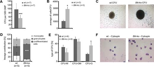 Figure 3. GMP deficient for Btk exhibit a decreased differentiation potential and drive myeloid development toward the granulocytic lineage. A total of 500 GMP sorted out of individual wild-type (wt) and Btk-ko mice were seeded in methylcellulose media supplemented with SCF, IL-3, and GM-CSF. The experiment was performed in quadruplicate. (A) After 6 days in culture, colony-forming units (CFU) were counted. Data presented are the mean values (± SD). (B) The cell number per CFU was calculated. (C) One CFU with a representative size generated from wild-type (wt) or Btk-deficient GMP was photographed and is presented. Scale bars represent 200 μm. (D) Differentiated cells were analyzed by flow cytometry at day 8 of culture. Data presented are the mean (± SD) of cell numbers positive either for the surface marker CD11b+/Gr-1−/F4/80− (undifferentiated cells), for CD11b+/Gr-1+ (granulocytes), or for CD11b+/F4/80+ (monocytes). (E) Twenty to thirty individual CFU per biological replicate were processed for cytospins and Pappenheim staining and analyzed for the cell content by morphology. CFU-M corresponds to more than 90% of the cells were macrophages, CFU-G corresponds to more than 90% of cells were neutrophils, CFU-GM corresponds to the content of macrophages and granulocytes was in between 20 to 80%. (F) A representative cytospin per analyzed genotype is presented. Scale bar represents 50 μm. In panel E the data are presented as mean values (± SEM). Data were analyzed with Student t test. *P ≤ 0.05, ***P ≤ 0.0005. n represents the number of biological replicates.