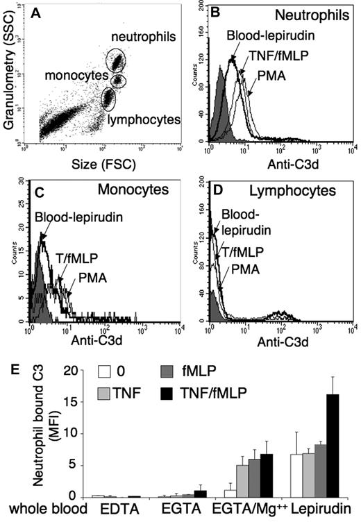 Figure 1. Complement activation by leukocytes in whole blood. Samples (100 μL) of whole blood with lepirudin were incubated at 37°C without or with PMA 10 ng/mL for 30 minutes or with TNF-α 10 ng/mL for 15 minutes, followed by a 15-minute incubation with fMLP 10−6M. After several washes, they were labeled with anti-C3d (“Immunolabeling and flow cytometry”). (A) FACSScan FSC/SSC dot blot analysis of all leukocytes. (B-D) Anti-C3d fluorescence histograms of cells restricted to the neutrophil (B), monocyte (C), or lymphocyte (D) FSC/SSC gate, from unstimulated blood (bold line) or blood stimulated with TNF/fMLP or PMA (thin lines). The shaded peak represents the isotypic IgG1control labeling. (E) Anti-C3d MFI measured on neutrophils from blood drawn in 20mM EDTA 12.5mM EGTA, without or with 3mM Mg2+, or in lepirudin, activated or not with TNF 10 ng/mL 30 minutes, fMLP 10−6M 15 minutes, or TNF/fMLP as in panel B (mean ± SD, n = 3 experiments).