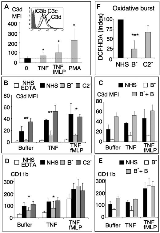 Figure 2. Neutrophils activate the complement AP and vice-versa. (A) Anti-C3d MFI of isolated PMNs labeled after a 30-minute incubation (2 × 106/mL) at 37°C in HBSS2+ in BSA-coated tubes, without (0) or with 10 ng/mL TNF-α ± 10−6M fMLP for the last 15 minutes of incubation, or with 10 ng/mL PMA, followed by a 30-minute incubation with one-third vol/vol autologous lepirudin-plasma (mean ± SD, n = 6). (Inset) Fluorescence histograms of TNF/fMLP activated PMNs labeled with anti-C3c, anti-C3d, and anti-iC3b mAbs or with the IgG1 control (shaded peak). (B-D) Anti-C3d (B-C) and anti-CD11b (D-E) MFI, measured by flow cytometry, on PMNs preincubated in HBSS2+ (buffer), 30 minutes with TNF-α 2 ng/mL (TNF), or TNF/fMLP (TNF/fMLP) as defined in “Results,” followed by a 30-minute incubation with one-third AB-serum without (NHS) or with 10mM EDTA (NHS-EDTA), with one-third factor B-depleted serum without (B−) or with added 100 μg/mL purified factor B (B− + B) or with one-third C2-depleted (C2−) serum (mean ± SD, n = 4 for B, D; n = 3 for C, E). Statistical analysis comparisons were performed between samples with B− serum and the corresponding NHS control. *P < .05. **P < .01. ***P < .001. (F) Oxidative response of PMNs pretreated for 10 minutes with 5μM DCFHDA before stimulation by TNF-α and incubation in one-third normal or depleted sera. DCFHDA index of PMNx submitted to stimulus x in serum x = (MFIx − MFI resting PMNs in NHS) × 100/MFI x-stimulated PMN in NHS − MFI resting PMN in NHS).