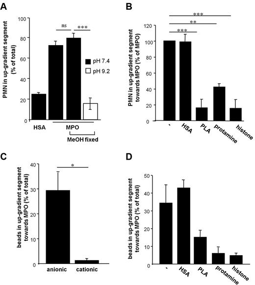 Figure 3. MPO-mediated PMN-motility is dependent on electrostatic interactions. (A) Methanol (MeOH) treatment of PMN did not impair MPO-induced motility, while directed movement of MeOH-fixed PMN toward MPO was blunted in buffer with the pH raised to the isoelectric point of MPO (pI 9.2, white bar, n = 3–4, one-way ANOVA P < .0001). (B) Poly-L-arginine (PLA), protamine and histone H2A were coadministered to PMN-suspension and MPO to equalize the cationic gradient. HSA was coadministered as a control protein (n = 3, one-way ANOVA P < .0001). (C) MPO-directed locomotion of sepharose beads with anionic or cationic coating was tested (n = 3-6). (D) Coadministration of PLA, protamine, and histone H2A impaired the motility of anionic beads toward MPO. In this case, n denotes number of independent experiments, number of donors of PMN ≥ 3. Bars represent means; error bars, SEM. *P < .05, **P < .01, ***P < .001.