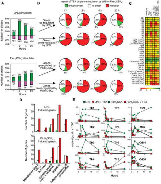 Figure 1. Trichostatin A inhibits the expression of innate immune genes in macrophages. BMDMs were preincubated for 1 hour with or without TSA (100nM) before exposure (C-D, 4 hours) to LPS (100 ng/mL) or Pam3CSK4 (100 ng/mL). Transcriptome was analyzed with Agilent Mouse Development Oligoarrays (A-B) or Mouse Oligo Microarray Kit V2 (C-D). (A) Number of genes either up-regulated or down-regulated by LPS and Pam3CSK4 without preincubation with TSA (fold change > 2 vs medium). (B) Effect of 1-hour preincubation with TSA on genes (expressed in percentage) either up-regulated or down-regulated by LPS or Pam3CSK4 (fold change > 2 vs medium). White represents no change; red, inhibition; and green, increase by TSA compared with stimulation with LPS or Pam3CSK4 alone. (C) Heat map of selected pattern recognition molecules (medium, TSA, LPS and Pam3CSK4: 4 hours of incubation, LPS + TSA and Pam3CSK4 + TSA; 1-hour preincubation with TSA followed by 4-hour incubation with LPS and Pam3CSK4). (D) Effect of 1-hour preincubation with TSA (fold changes were calculated vs LPS or Pam3CSK4 alone) on a selection of genes up-regulated by LPS or Pam3CSK4 and grouped into various categories based on their biologic functions (microbial sensing and killing; adhesion; cytokine, growth factor and receptors; signaling; antigen processing and presentation). White represents no change; red, inhibition; and green, increase by TSA compared with stimulation with LPS or Pam3CSK4 alone. (E) Tlr1-9, Md-2, Cd14, and Cd36 mRNA copy number was determined by RT-PCR and expressed relative to that of GAPDH. Data are representative of 2 independent experiments.