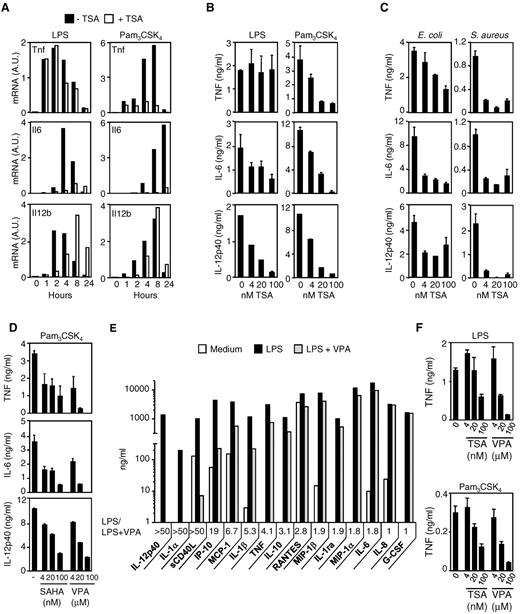 Figure 2. HDAC inhibitors inhibit cytokine release by macrophages exposed to microbial products and bacteria. BMDMs were preincubated for 1 hour with or without TSA (100nM unless specified) before exposure to LPS (100 ng/mL), Pam3CSK4 (100 ng/mL), and heat-killed E coli or S aureus (107 CFU/mL). (A-C) TNF, IL-6, and IL-12p40 mRNA (A) and protein (B-C) production by BMDMs. TNF, IL-6, and IL-12p40 mRNA levels were analyzed by RT-PCR, and results are expressed as the ratio of cytokines to GAPDH mRNA levels. Data are representative of 3 independent experiments. Cytokine were quantified in cell culture supernatants collected after 8 hours (TNF) and 18 hours (IL-6 and IL-12p40). Data are mean ± SD of triplicate samples from one experiment representative of 3 independent experiments. A.U. indicates arbitrary units. (D) BMDMs were preincubated for 1 hour with or without SAHA (4, 20, and 100nM) or VPA (4, 20, and 100μM) before exposure to Pam3CSK4 (100 ng/mL). TNF, IL-6, and IL-12p40 were quantified in cell culture supernatants collected after 8 hours (TNF) and 18 hours (IL-6 and IL-12p40). Data are mean ± SD of triplicate samples from 1 experiment representative of 3 independent experiments. (E-F) Human whole blood was incubated for 18 hours with VPA (E, 100μM) or TSA together with either LPS (10 ng/mL) or Pam3CSK4 (100 ng/mL). Cytokine and chemokine production was assessed by the Luminex technology (“Cytokine measurements”), and LPS/LPS + VPA ratios were calculated (E). TNF was quantified by bioassay. Data are mean ± SD of triplicate samples from one donor and are representative of 2 independent experiments (F).