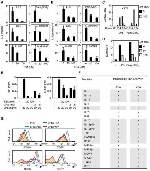 Figure 4. HDAC inhibitors inhibit the response of DCs to microbial stimulation. (A-C) BMDCs were preincubated for 1 hour with TSA before stimulation for 18 hours or the indicated time with LPS (100 ng/mL), Pam3CSK4 (100 ng/mL), CpG oligonucleotide (CpG, 0.7μM), and heat-killed C albicans, E coli, or S aureus (107 CFU/mL). (A-B) IL-6 and IL-12p40 production. Data are mean ± SD of triplicate samples and are representative of 4 independent experiments. (C) Cd40 mRNA expression quantified by RT-PCR. Results are expressed as the ratio of Cd40 mRNA level to that of GAPDH. Data are mean ± SD of 1 experiment representative of 3 independent experiments. AU indicates arbitrary units. (D) CD40 mean fluorescence intensity (MFI) determined by flow cytometry. Data are representative of 3 independent experiments. (E-G) Human moDCs were preincubated for 1 hour with TSA (E-F, 100nM) or VPA (E-F, 100μM) before exposure to LPS (30 ng/mL) for 18 hours. (E) TNF and IL-6 production. Data are mean ± SD of triplicate samples and are representative of 2 independent experiments. (F) Effect of TSA and VPA on cytokine and chemokine production by 2 independent preparations of moDCs. Mediators were analyzed using the Luminex technology (“Cytokine measurements”). + indicates inhibition (fold change > 2); and −, no effect. (G) CD40, CD80, CD86, and CCR7 expression analyzed by flow cytometry. Data are representative of 2 independent experiments.