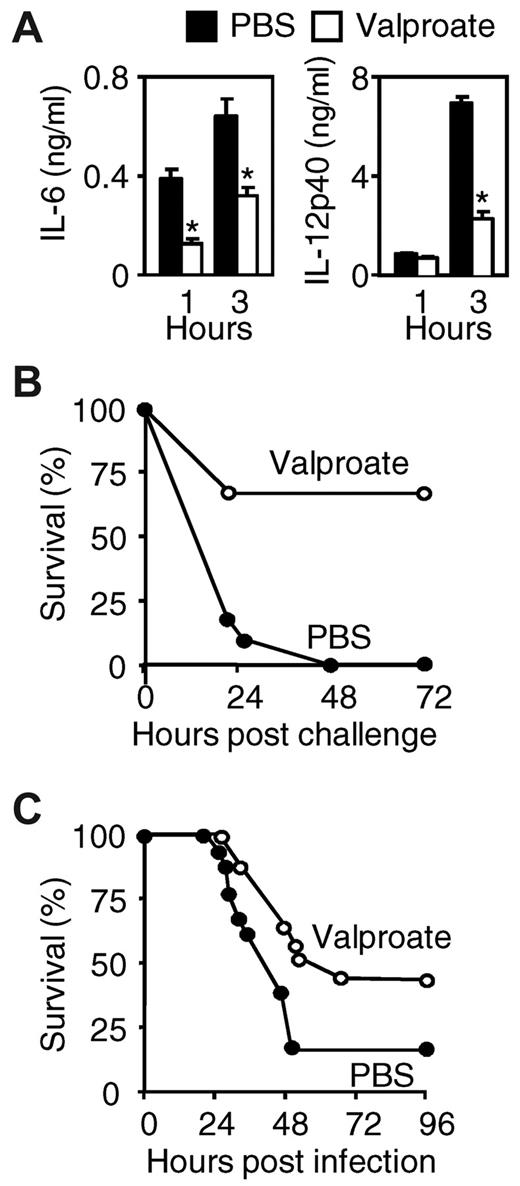Figure 7. HDAC inhibition protects from lethal toxic shock and severe sepsis. (A-B) BALB/c mice were injected intraperitoneally with valproate (Orfiril, 200 mg/kg started 2 days before and discontinued 2 days after induction of shock) or PBS. Animals were sensitized with D-galactosamine and injected intraperitoneally with Pam3CSK4. (A) Plasma levels of IL-6 and IL-12p40 were determined 1 hour and 3 hours after challenge with Pam3CSK4. Data are mean ± SD of 8 mice per treatment group. *P < .001 for valproate versus PBS. (B) Survival of BALB/c mice subjected to Pam3CSK4-induced shock (n = 11 mice per treatment group; P = .001). (C) Survival of BALB/c mice subjected to CLP and treated with either valproate or PBS (every 12 hours, starting 30 minutes after surgery; n = 16-18 mice per treatment group). P = .04.