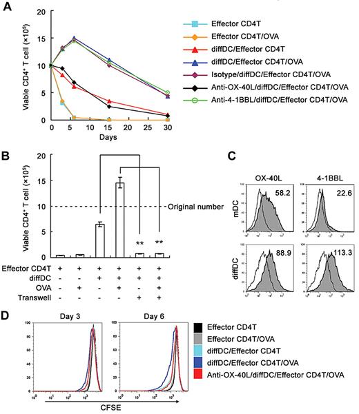 Figure 1. Regulatory DCs maintain survival of antigen-specific CD4+ T cells in vitro for > 30 days via OX-40L. (A) Naive CD4+ T cells were activated by mDCs in the presence of antigen OVA323-339 for 4 days, and then the effector CD4+ T cells were purified to coculture with diffDCs at a ratio of 10:1 for various times in the presence of 50% ESSC supernatant and 10nM OVA323-339. In some experiments, anti–OX-40L or anti–4-1BBL blocking antibody (5μg/mL) was added into the coculture system. Viable CD4+ T cells were counted by flow cytometry. (B) The Transwell system was used to separate effector CD4 T cells from diffDCs and then viable CD4 T cells were counted. (C) OX-40L and 4-1BBL expression on diffDCs and mDCs were detected by flow cytometry. Numbers in the histograms indicate the geometric mean fluorescence of the test samples. (D) The purified effector CD4+ T cells labeled with 5μM CFSE were cocultured with diffDCs at a ratio of 10:1 for 3 or 6 days in the presence of 50% ESSC supernatant and 10nM OVA323-339 with or without anti–OX-40L blocking antibody. Viable CD4+ T cells were gated for analyzing CFSE content of CD4 T cells by flow cytometry. **P < .01. Similar results were obtained in at least 3 independent experiments.