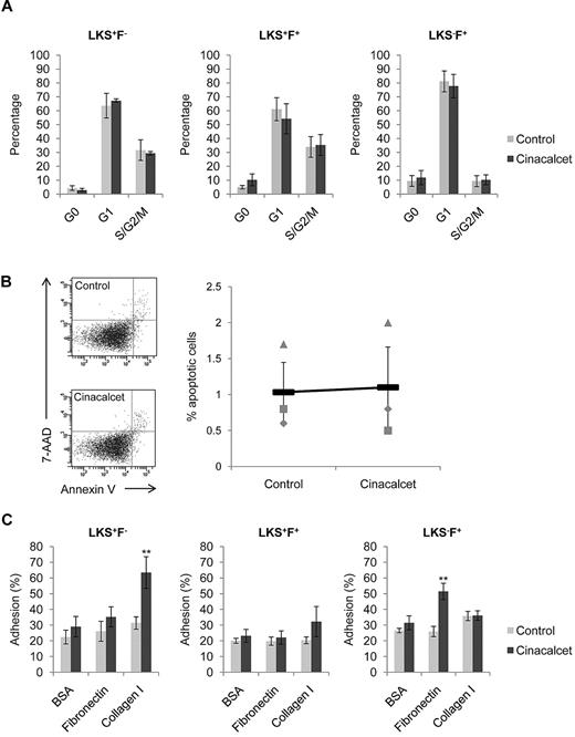 Figure 2. CaR stimulation does not alter cell cycle status, or cell survival, but significantly increases HSC adhesion to collagen I. (A) Cell cycle profiles for LKS+F−, LKS+F+, and LKS−F+ subpopulations (n = 4 from 2 independent experiments). (B) Percentage of LKS cells undergoing apoptosis after treatment. The percentage of apoptotic cells was determined as 7-amino-actinomycin (7-AAD) negative and PE Annexin V positive (n = 3 from 3 independent experiments). (C) Adhesion of LKS+F−, LKS+F+, and LKS−F+ cells to fibronectin and collagen I. Cells were allowed to adhere to wells coated with fibronectin and collagen I for 3 hours at 37°C and 5% CO2. Bovine serum albumin (BSA; 1%) was used as a control for nonspecific binding (**P < .01; n = 8 from 3 independent experiments; error bars represent SEMs).