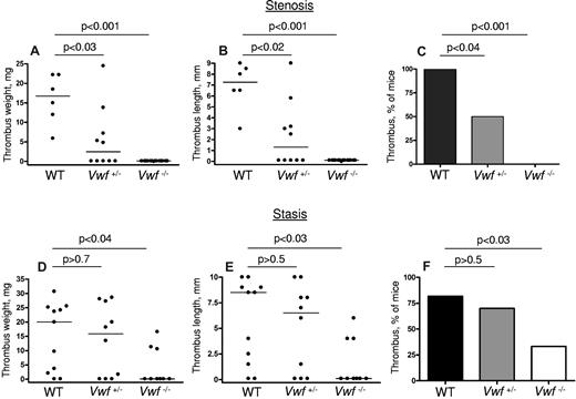 Figure 1. VWF−/− mice are protected from flow restriction–induced venous thrombosis. IVC stenosis (A-C) or stasis (D-F) in WT, VWF+/−, and VWF−/− mice was produced. After 48 hours, mice were killed and thrombi were harvested. Values for weight and length of the thrombi are presented in A-B (stenosis model) and D-E (stasis model). The percentage of mice with a thrombus is shown in panels C and F for stenosis and stasis models, respectively. Horizontal bars in dot plots represent median. Stenosis model: WT, n = 6; VWF+/−, n = 10; VWF−/−, n = 14. Stasis model: WT, n = 11; VWF+/−, n = 10; VWF−/−, n = 9.