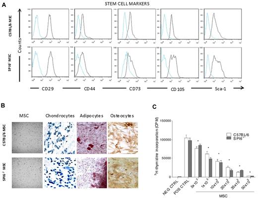 Figure 1. Characterization of WT and SPI6−/− MSCs. MSCs were harvested from femurs and tibia bone marrow of WT and SPI6−/− mice. Stem cell markers were assessed at passage 5 by FACS analysis (n = 4). (A) CD29, CD44, CD73, CD105, and Sca-1 were positive in WT and SPI6−/− MSCs. (B) MSCs from WT and SPI6−/− mice showed similar fibroblastic morphology. Both WT and SPI6−/− MSCs differentiated into chondrocytes, osteocytes, and adipocytes when stimulated with differentiation medium. Nikon E-1000 epifluorescence microscope with 200× magnification was used to capture images. (C) Lymphocyte proliferation was assessed in the presence of an increasing concentration of MSCs from WT (open bars) and SPI6−/− (shaded bars) mice. MSCs from WT and SPI6−/− mice significantly and comparably inhibited lymphocyte proliferation (P < .01). This is the average of 3 experiments, with every parameter performed in 6 replicates. NEG CTRL indicates negative control (lymphocytes in medium); POS CTRL, positive control (lymphocytes cocultured with anti-CD3/CD28); and CPM, counts per minute.