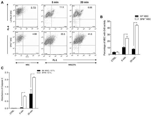 Figure 3. Early GrB and caspase-3 activity showed early killing of SPI6−/− MSCs. (A) Early GrB activity in WT and SPI6−/− MSCs subjected to CTLs was detected by a GranToxiLux assay and characterized by a population shift from the top left quadrant to the top right quadrant. MSCs were fluorescently labeled (red; FL-4) before coincubation with CTLs in the presence of a fluorogenic GrB substrate. Cleavage of the substrate results in increased green fluorescence (FL-1) in MSCs with GrB activity. (B) The percentage of MSCs with GrB activity (top right quadrant) is shown in the bar graph. SPI6−/− MSCs showed significantly higher GrB activity at 5 and 20 minutes (6.06% ± 2.56% vs 11.5% ± 3.54% and 41.6% ± 4.32% vs 25.5% ± 2.89%, respectively; P < .02; n = 3 experiments). (C) Caspase-3 was assessed in WT and SPI6−/− MSCs subjected to CTLs at the same time points as for GrB. Results showed significantly higher caspase-3 activity in SPI6−/− MSCs than in WT MSCs (B6 MSC/CTL) at 5 and 20 minutes when challenged with CTLs (1.01 ± 0.36 vs 2.14 ± 0.042 and 0.051 ± 0.009 vs 0.831 ± 0.067, respectively; n = 3 experiments; P < .02).