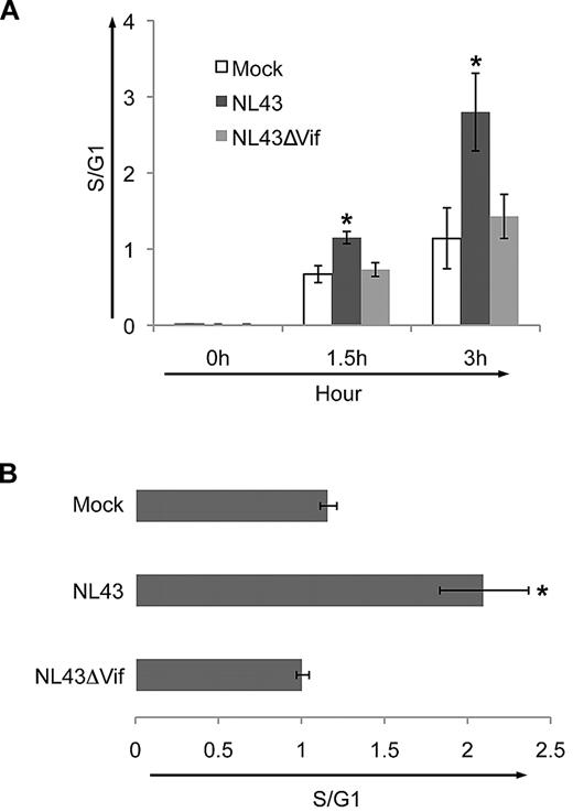 Figure 4. Vif drives HIV-1–infected cells from G1 into the S phase of the cell cycle. (A) Relative proportion of HeLa cells in the S phase compared with G1 after cotransfection with GFP and pcDNA (white bars), wild-type NL4-3 (black bars), or NL4-3ΔVif (gray bars), along with GFP. Horizontal axis shows each transfection condition at 0, 1.5, and 3 hours after release from 24 hours of synchronization. The ratio of S/G1 in cells transfected with NL4-3 was significantly increased compared with cells transfected with NL4-3ΔVif. (B) Ratio of number of cells in S compared with G1 (S/G1) in CEMss T cells 2 days after infection with wild-type NL4-3 or NL4-3ΔVif or mock infection. The mean ± SE of 3 experiments is shown. Infection levels, as measured by the percentage of Gag+ cells, were 0.1% ± 0.1% for mock, 51% ± 5.4% for NL4-3, and 55% ± 8.4% for NL4-3ΔVif. Significantly more cells entered the S phase when infected with the wild-type virus NL4-3 than with the wild-type virus deleted in Vif, NL4-3ΔVif (P < .05).