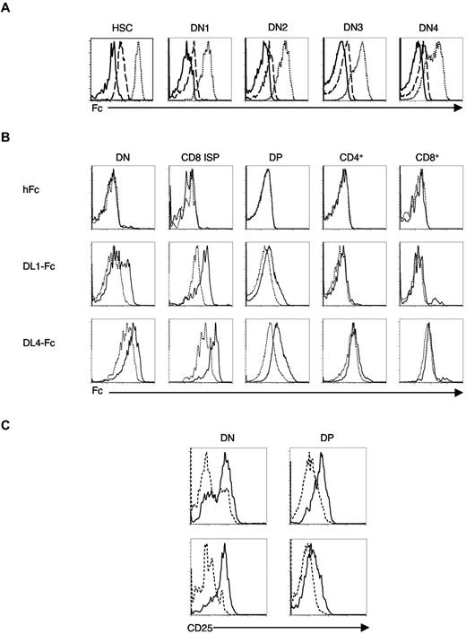 Figure 5. Lfng overexpression augments binding of DL1 and DL4 by DN and DP thymocytes. (A) Binding of Fc, DL1-Fc, and DL4-Fc fusion proteins by HSC and DN thymocytes. Total fetal liver cells from E12.5-16.5 WT mice were stained with a cocktail of biotinylated lineage markers along with anti-CD117–APC and anti–Sca-1–FITC to identify Lin− Sca-1hi CD117hi HSCs. Total thymocytes from WT mice were depleted of lineage-positive (Lin+) cells and stained with anti-CD117–APC and anti-CD25–FITC to identify DN1 (Lin−c-kit+CD25−), DN2 (Lin−c-kit+CD25+), DN3 (Lin−c-kit−CD25+), and DN4 (Lin−c-kit−CD25−) cells. Cells were subsequently stained with either human-Fc (control protein consisting of only the hinge and Fc portions of human IgG1; solid lines), DL1-Fc (dashed lines), or DL4-Fc (dotted lines) followed by anti–human IgG1-PE. (B) Effect of Lfng overexpression on binding of DL1-Fc and DL4-Fc in thymocyte subsets. Total thymocytes were stained with anti-CD4–FITC, anti-CD8–Alexa Fluor 633, and either human-Fc (control protein consisting of only the hinge and Fc portions of human IgG1), DL1-Fc, or DL4-Fc followed by anti–human IgG1-PE. Histograms compare binding of each protein to indicated thymocyte subsets from Lfng Tg+ (solid lines) versus WT (dashed lines) mice. Similar results were obtained in 3 independent experiments. (C) Lfng overexpression prolongs DL-induced Notch signaling in DN4 thymocytes. Sorted DN4 thymocytes from Lfng Tg+ and WT mice were cultured on OP9-DL1, and progeny were harvested and stained with anti-CD4–FITC, anti-CD8-PE, and biotinylated anti-CD25 (avidin Alexa Fluor 633) after 4 (top row) and 9 (bottom row) days of culture. Histograms display CD25 expression on DN and DP progeny from cultures initiated with Lfng Tg+ (solid line) versus WT (dotted line) DN4 thymocytes at each time point.