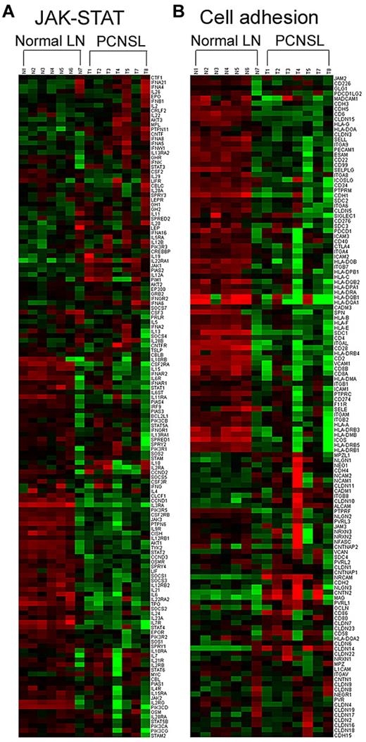 Figure 3. Representative molecular pathways differentially expressed in PCNSL compared with normal lymph node (LN). The genes involved in JAK-STAT (A) and cell adhesion (B) pathways were clustered according to phenotype (ie, as normal LN or PCNSL).