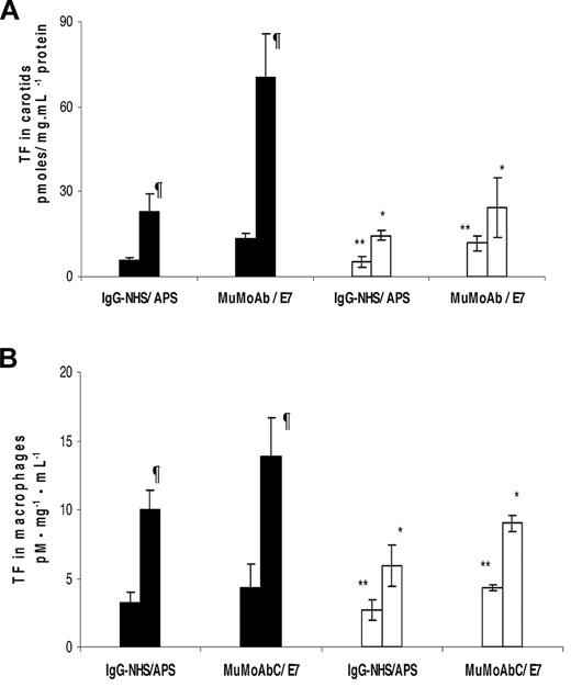 Figure 2. aPL antibodies and a murine monoclonal anti-β2GPI antibody (E7) increase carotid artery and peritoneal macrophages TF activity in mice through an interaction with ApoER2. ApoER2+/+ (filled bars) or ApoER2−/− (open bars) mice were injected with either IgG-NHS, IgG-APS, IgG MoAbC, or E7. Carotid arteries (A) or peritoneal macrophages (B) were harvested from ApoER2+/+ or ApoER2−/− mice, and TF activity in homogenates was determined with a commercial chromogenic assay for Xa formation. At least 3 animals were used per condition. Results are expressed as pM · mg−1 · mL−1 ± SEM. An unpaired t test was applied to examine statistical significance. ¶Statistically different from apoER2+/+ treated with control; (A) NHS (P = .014) or MuMoAb (P = .003) and (B) NHS (P = .004) or MuMoAb (P = .003). *Statistically different from apoER2+/+ treated with IgG-APS (A, P = .009 and B, P < .0001) or E7 (A, P < .0001 and B, P = .018). **Statistically different from apoER2−/− treated with IgG-APS (A, P = < .0001 and B, P = .040) or E7 (A, P = .030 and B, P = .0004).