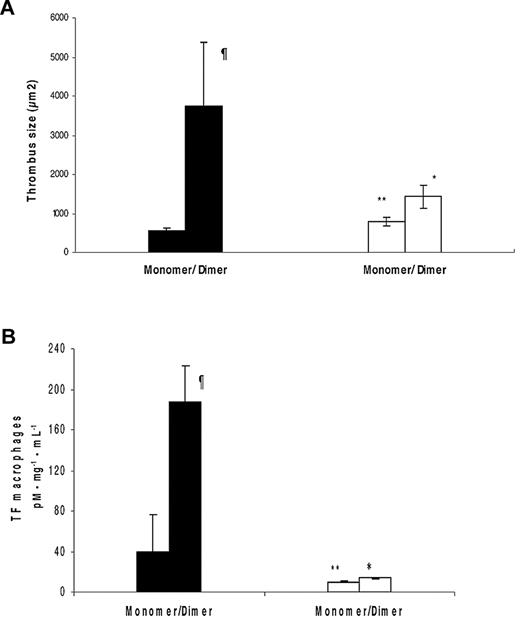 Figure 3. Dimerized β2GPI increases thrombus size, carotid artery, and peritoneal macrophages TF activity in mice through an interaction with ApoER2. ApoER2+/+ (filled bars) or ApoER2−/− (open bars) mice were injected with dimeric β2GPI or monomer β2GPI as control. (A) Thrombi were induced in the animals, and thrombus size was measured in square microns (μm2). The data are expressed as mean ± SD (5-10 animals were used per group). (B) In peritoneal macrophages as described in “Statistical analysis,” TF activity was determined with a commercial chromogenic assay for Xa formation. Results are expressed as means ± SEM in pM · mg−1 · mL−1. Experiments were assayed in duplicate and repeat thrice. ¶Statistically different from apoER2+/+ treated with control; (A, P = .011 and B, P = .023). *Statistically different from apoER2+/+ treated with dimer (A, P = .007 and B, P = .013). **Statistically different from apoER2−/− treated with dimmer (A, P < .0001 and B, P < .0001).