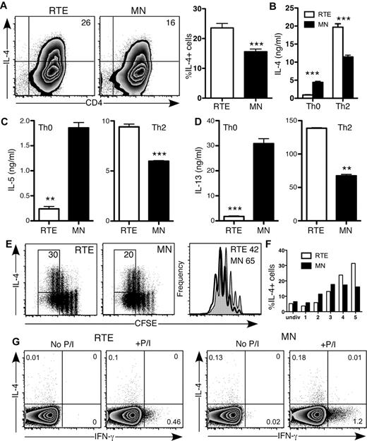 Figure 4. CD4+ RTEs are biased toward the Th2 effector lineage in vitro. (A) CD4+ RTEs and MN T cells were differentiated under Th2 conditions for 5 days and then stained for IL-4. Numbers in quadrants of representative flow cytometry plots show the percentage of IL-4+ cells. In the right panel, compiled data are presented as mean ± SEM for 8 independent experiments with cells pooled from 3-4 mice per experiment and a range of anti-CD3 concentrations from 30-500 ng/mL. ***Significant difference between populations (P < .0005). (B-D) Supernatants from Th0- and Th2-differentiated CD4+ RTEs and MN T cells were assayed by ELISA for (B) IL-4, (C) IL-5, and (D) IL-13. Error bars represent SD for triplicate wells. Data are representative of ≥ 2 independent experiments with cells pooled from 2-4 mice per experiment. **P < .005, ***P < .0005. (E) CFSE-labeled CD4+ RTEs and MN T cells were differentiated under Th2 conditions for 3 days and stained for IL-4. Numbers represent the percentage of IL-4 producers among cells that had undergone ≥ 4 divisions. Histograms represent CFSE dilution by RTEs (shaded) and MN T cells (open), and numbers denote the percentage of cells that had undergone ≥ 4 divisions. (F) Graph represents the percentage of IL-4–producing cells in each division (undiv indicates undivided). Data are representative of 2 independent experiments with cells pooled from 3-4 mice per experiment and 30 ng/mL anti-CD3. (G) Purified CD4+ RTEs and MN T cells were stimulated directly ex vivo for 5 hours with or without PMA and ionomycin (P/I). Cells were stained for intracellular IL-4 and IFN-γ and gated as CD4+CD44lo. Numbers in quadrants represent the percentages of cytokine-positive cells.