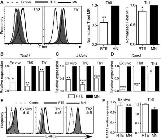 Figure 5. CD4+ RTEs are characterized by distinct transcription factor and cytokine-receptor expression patterns. (A) CD4+ RTEs and MN T cells were differentiated under Th0 or Th1 conditions for 5 days and then stained for intracellular T-bet. Representative histograms show Th0 and Th1 CD4+ RTEs (shaded) or MN T cells (open) and MN T cells stained directly ex vivo (dashed line). MFI values were normalized by expressing RTE values as a percentage of the MN value, which was set to 1, and these compiled data are presented as mean ± SEM for 4 independent experiments with cells pooled from 3-4 mice per experiment and anti-CD3 concentrations ranging from 30-500 ng/mL. *P < .05, **P < .005. qRT-PCR for (B) Tbx21, (C) Il12rb1, and (D) Cxcr3 expression on ex vivo and Th0- or Th1-differentiated CD4+ RTEs and MN T cells. Data are presented as mean ± SD for 3 independent experiments with cells pooled from 2-4 mice per experiment for each target. *P < .05, **P < .005, ***P < .0005. (E) CD4+ RTEs and MN T cells were stained for IL-4Rα directly ex vivo or 5 days after stimulation under Th0 and Th2 conditions. Representative histograms show RTEs (shaded), MN T cells (solid line), and isotype control (dotted line). MFI of IL-4Rα for Th0 RTEs was 220 ± 77, and for Th0 MN T cells, it was 532 ± 109, and this difference was significant (P = .005). MFI of IL-4Rα for Th2 RTEs was 863 ± 69, and for Th2 MN T cells, it was 948 ± 92, and this difference was not significant (n.s.; P > .05). MFI data were compiled from 3 independent experiments with cells pooled from 2-3 mice per experiment. (F) qRT-PCR for GATA3 expression on purified ex vivo and 5 day Th2-differentiated CD4+ RTEs and MN T cells. Data are presented as mean ± SD for 3 independent experiments with cells pooled from 2-3 mice per experiment. *P < .05.