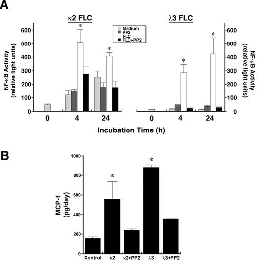 Figure 4. Incubation of renal epithelial cells with 2 different FLCs (κ2 and λ3) increase nuclear NF-κB activity and promote MCP-1 production in an Src kinase–dependent fashion. (A) Nuclear lysates were obtained from HK-2 cells after 4 and 24 hours of incubation in medium containing 2 different FLCs (κ2 and λ3). Nuclear NF-κB activity was quantified using a filter plate assay, which consisted initially of incubating nuclear extracts with a biotinylated NF-κB–specific DNA-binding sequence. This NF-κB DNA complex was captured on a filter plate to remove the unbound probes and was then denatured and hybridized onto precoated microwells. Bound NF-κB DNA complexes were detected with streptavidin–horseradish peroxidase and quantified using a luminometer. Results, expressed in relative light units, showed an increase in nuclear NF-κB activity at 4 and 24 hours of incubation of renal epithelial cells with κ2 and λ3 FLCs compared with medium alone. The addition of PP2 to the medium inhibited the FLC-induced increase in activity. *P < .05 compared with contemporaneous samples incubated in medium alone, PP2, and corresponding FLCs and PP2; n = 6-12 experiments in each group. (B) Increase in production of MCP-1 after overnight incubation of renal epithelial cells with the κ2 and λ3 FLCs; the addition of PP2 prevented this FLC-induced increase in MCP-1. *P < .05 compared with control and samples treated with PP2 and corresponding FLCs; n = 6 experiments in each group