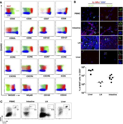 Figure 1. MAIT cells express tissue-specific chemokine receptors and are abundant in the liver. (A) Representative staining for indicated activation markers, chemokine receptors, and NK receptors on CD4+ (green) or CD8β+ (blue) T cells (CD3+γδ−) and MAIT cells (CD3+γδ−CD4−CD8β+/−CD161+Vα7.2+) (red) from blood. Representative of at least 3 donors. (B) Peripheral blood mononuclear cells, intestine, lymph node (LN), and liver triple immunostaining with the indicated antibodies. MAIT cells are triple-stained cells in the right panel. Examples of mono-color layers on a zoomed triple-stained cell are shown on the right. (Bottom panel) Proportion of MAIT (Vα7.2+IL-18Rα+CD3+) in liver, LN, and intestine. Each symbol represents an individual donor. (C) Representative fluorescence-activated cell sorter staining on CD4−CD3+γδ− lymphocytes from the indicated organs (n > 100, 3, 4, and 2 for peripheral blood lymphocytes (PBLs), intestine, LN, and liver, respectively).