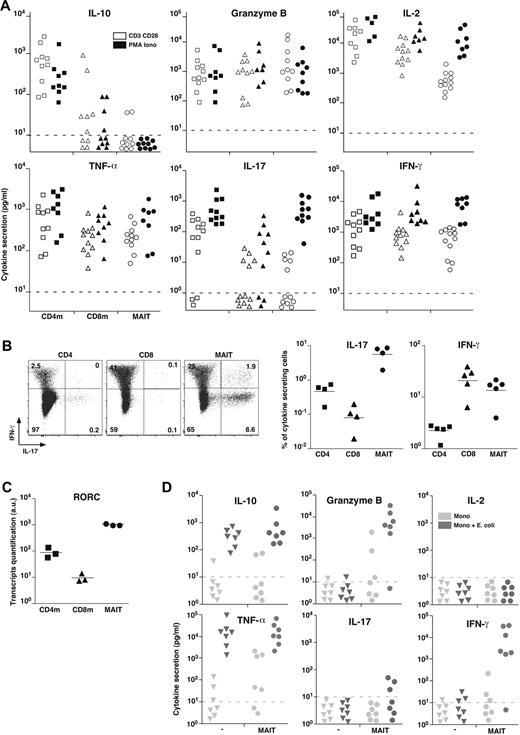 Figure 3. MAIT cells express RORC and display a mixed Th1/Th17 cytokine secretion pattern. (A) IL-10, Granzyme B, IL-2, TNF-α, IL-17, and IFN-γ secretion by sorted CD4 or CD8 memory T cells and MAIT cells after 48 hours of stimulation by anti-CD3 + CD28 or PMA and ionomycin. Dotted line represents detection limit. (B) Representative IL-17 and IFN-γ intracellular staining of CD4, CD8 T, and MAIT cells after 12 hours of PMA and ionomycin stimulation (left panel). Proportion of CD4, CD8 T, and MAIT cells producing IL-17 or IFN-γ (right panel). (C) Quantitative PCR analysis of RORC expression normalized to actin on sorted CD4 or CD8 memory T and MAIT cells. Each symbol represents an individual donor. (D) IL-10, Granzyme B, IL-2, TNF-α, IL-17, and IFN-γ in the 48-hour culture supernatant of monocytes fed or not with bacteria for 3 hours followed or not by addition of sorted autologous MAIT cells.