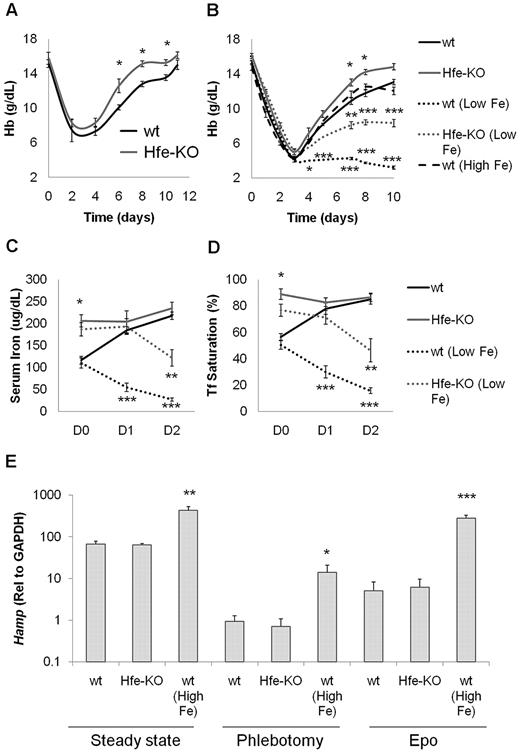 Figure 1. Hfe-KO mice respond better to erythropoietic stress. (A-B) Recovery of Hb values in wt and Hfe-KO mice after phenylhydrazine-induced hemolytic anemia and phlebotomy, respectively. (B) In the phlebotomy studies, the results obtained in wt mice fed a low-iron (Low Fe) or high-iron (High Fe) diet, and Hfe-KO mice fed the low-iron diet are also shown. Serum iron (C) and Tf saturation (D) over the course of the first 2 days of the phlebotomy regimen are shown for wt and Hfe-KO mice fed a regular or low-iron diet. (E) Hamp expression in wt and Hfe-KO mice at steady state and after erythropoietic stimulation by phlebotomy or Epo administration. The graph is shown in logarithmic scale. Data are mean ± SEM of 5 to 20 age- and sex-matched mice. *P ≤ .05 relative to wt controls. **P ≤ .01 relative to wt controls. ***P ≤ .001 relative to wt controls.