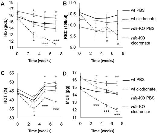 Figure 2. Hematologic values are less affected in Hfe-KO than wt mice after macrophage depletion. Macrophages were eliminated by weekly injections of clodronate-containing liposomes. Mice injected with PBS-containing liposomes served as controls. The effect of macrophage depletion on Hb (A), RBC (B), hematocrit (C), and MCH (D) values during the course of the treatment is shown. Data are mean ± SEM of 5 age- and sex-matched mice. *P ≤ .05 relative to PBS controls. **P ≤ .01 relative to PBS controls. ***P ≤ .001 relative to PBS controls.
