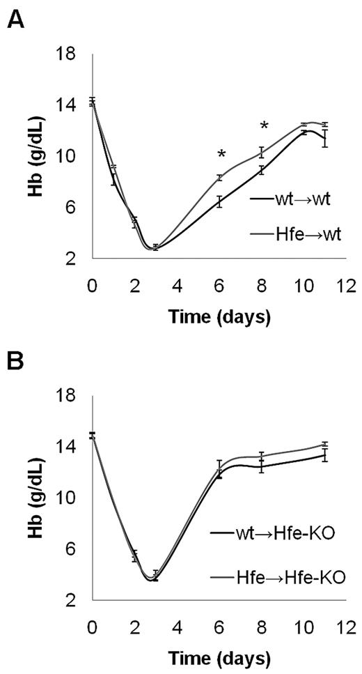 Figure 7. Wt mice transplanted with Hfe-KO BM respond better to erythropoietic stress. Recovery of Hb values in wt → wt versus Hfe → wt (A) and wt → Hfe-KO versus Hfe → Hfe-KO (B) mice after phlebotomy, as in Figure 1. Phlebotomies were performed 2-3 months after BM transplantation. Data are mean ± SEM of 5-10 mice. *P ≤ .05 relative to controls.