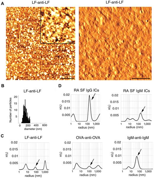 Figure 2. Size determination of ICs. (A) Topography (left panel) and shaded topography (right panel) AFM images of LF-anti-LF, artificial ICs. Scale bar represents 1 μm on the left panel. (Inset) Scale bar represents 200 nm. (Right panel) Scale bar represents 250 nm. Images were captured at room temperature using a PSIA XE-100 AFM with a XEP1.5 acquisition software. The imaging medium was air. Topography images were processed with XEI 1.6 software using the Sobel Edge Enhancement method. (B) The histogram represents particle size distribution. For the analysis of particles, ImageJ software (Version 1.42q) was used. (C) DLS analysis of LF-anti-LF, OVA-anti-OVA, IgM-anti-IgM ICs. Arrows indicate peaks overlapping with MP sizes. (D) RA SF ICs were isolated on an anti-IgG and anti-IgM agarose columns and were also analyzed by DLS. Arrows indicate peaks overlapping with MP sizes. The x-axis is set to logarithmic scale; a(rh) denotes the coefficient of autocorrelation function of the scattered electric field. DLS experiments were carried out at 21°C.