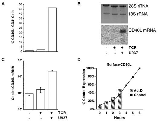 Figure 7. Monocyte cell contact increases CD40L mRNA in CD4+ T cells. Purified CD4+ T cells were cultured alone or with U937 cells and stimulated for 6 hours as indicated at the bottom of the figure. (A) Flow cytometric analysis of CD40L surface expression. (B) RNA was isolated from an aliquot of the same cells shown in panel A. Equal amounts of total RNA from each sample were loaded per lane; and after electrophoresis, the gel was stained for 28S and 18S rRNA (top panel). The gel image was acquired on a Biorad Fluor-S MultiImager with Quantify One Version 4.2 software. Northern blot of the same gel probed for CD40L mRNA (bottom panel). The position of CD40L mRNA is indicated. (C) Results of quantitative RT-PCR for CD40L mRNA performed on an aliquot of the same RNAs used in the Northern blot. Data are mean ± SE for 3 replicates of each sample, expressed as the number of CD40L mRNA copies per nanogram of rRNA. Representative results from one of 4 donors are shown. (D) PBMCs were plated in the presence (Act D) or absence (Control) of a transcriptional inhibitor and stimulated with anti-TCR mAb. Control samples were harvested and stained for CD40L at the indicated times (solid line). Act D was added to the PBMC cultures at 0, 1, 2, or 3 hours, and the Act D–treated samples were harvested and stained for CD40L at 6 hours (hatched columns). CD40L expression is plotted relative to the 6-hour control (100%). Representative results from one of 4 donors are shown.
