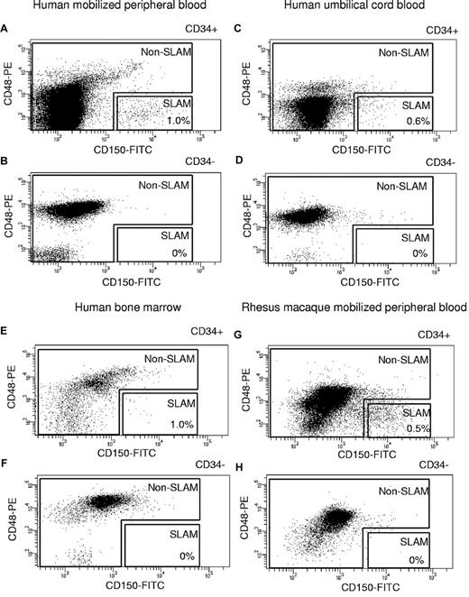 Figure 1. Cell sorting experiments of SLAM (CD150+CD48−) and non-SLAM (not CD150+CD48−) populations. Human G-CSF MPB CD34+ cells (A) and CD34− cells (B). Human UCB CD34+ cells (C) and CD34− cells (D). Human BM CD34+ cells (E) and CD34− cells (F). Rhesus macaque MPB CD34+ cells (G) and CD34− cells (H). No significant numbers of SLAM cells are detected in the CD34− population from any hematopoietic source.