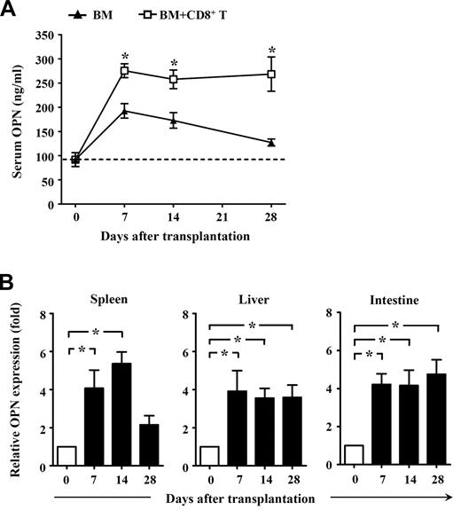 Figure 1. Expression of OPN during GVHD. Lethally irradiated B6/SJL recipient mice (CD45.1+) were injected with C3H.SW CD8+ T cells (CD45.2+, 2 × 106) plus C3H.SW TCD BM (5 × 106) or C3H.SW TCD BM (5 × 106) alone. (A) Levels of serum OPN in recipients after transplantation were measured by ELISA. (B) Expression of OPN in spleen, liver, and intestine from GVHD recipients was measured by quantitative real-time PCR. Values for relative fold expression are normalized to gene expression in mice at day 0. Data are mean ± SEM of 6 mice analyzed. These results were representative of 3 independent experiments. *P < .05.