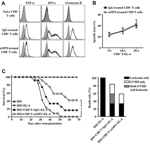 Figure 7. Maintenance of GVL on anti-OPN treatment. Lethally irradiated B6/SJL recipient mice were injected with C3H.SW CD8+ T cells plus C3H.SW TCD BM. These recipients were treated with anti-OPN Ab or control IgG at days 0, 3, 6, 10, and 14 after transplantation. (A) Splenic donor-derived CD8+ T cells were recovered from anti-OPN Ab or control IgG treated recipients at day 14 after transplantation, and the levels of inflammatory cytokine production were assessed by intracellular staining and flow cytometry. Gray shadow and solid line indicate the immunofluorescence intensity of cells as a control and the test of Abs, respectively. (B) Abilities of the recovered CD8+ T cells to lyse EL-4 cells were examined. Data of the percentages of specific lysis are mean plus or minus SEM of 6 mice per group. (C) The recipient mice were in vivo challenged with EL-4 cells at day 7 after transplantation. Survival and causes of death were monitored (n = 12 per group). Symbols are as follows: (▴), TCD BM alone; (▿), TCD BM plus EL-4 cells; (■), TCD BM plus CD8+ T cells plus EL-4 cells plus control IgG treatment; and (○), TCD BM plus CD8+ T cells plus EL-4 cells plus anti-OPN Ab treatment. These results were representative of 3 independent experiments. *P < .05.
