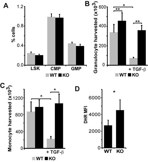 Figure 2. SMAD3 limits polymorphonuclear neutrophil production and function. (A) Phenotypic analysis of BM cells harvested from WT and SMAD3-KO littermates (n = 5). LSK are Sca-1+ and c-kit+ but negative for the following lineage markers: CD3ϵ, B220, Gr-1, CD11b, Ter119, CD11c, NK1.1, and TCR-γδ). Common myeloid progenitors (CMP) are Lin−Sca-1−c-KithiCD34+CD16/32−. Granulocyte monocyte progenitors (GMP) have the same phenotypic profile as CMP but express high levels of CD16/CD32. (B) Granulocyte (CD11b+/Gr-1+) and (C) monocyte (CD11b+/Gr-1−) counts harvested after culture for 10 days in methylcellulose-based medium in the absence or presence of exogenous TGF-β (10 ng/mL; n = 5 independent experiments). (D) DHR mean fluorescence intensity (MFI) of Gr-1+ cells after brief phorbol myristate acetate stimulation (n = 4). All histograms represent the mean and SEM. Statistical differences according to the 2-tailed paired t test: *P < .05, **P < .01.