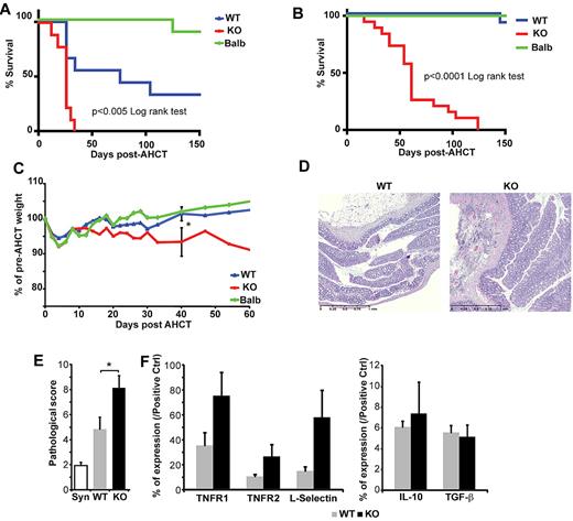 Figure 3. SMAD3 deficiency leads to lethal colonic GVHD. (A) Survival curve of BALB.B recipients after injection of 107 BM cells and 5 × 106 splenocytes from syngeneic (BALB.B) or allogeneic WT or SMAD3-KO 129-strain donors. (B-F) Same as in panel A, except that the number of splenocytes was 5 × 105. (B) Survival curve and (C) average weight (with SEM) for surviving mice (at least 10 mice per group). (D) Representative photographs of colon involvement at day 40 in recipients of WT or SMAD3-KO AHCT (0.25-mm scale unit). Virtual slides were scanned with the NanoZoomer, Version 2.0 series system and acquisition software NDP.scan, Version 2.2.17 (Hamamatsu Photonics) using a 40× objective lens. (E) Pathologic grading of large bowel GVHD (n = 8). (F) Relative quantity (compared with internal positive control) of cytokine/marker in colon extracts at day 40. Data are expressed as relative chemiluminescence, as described in “Cytokine measurements” (n = 3). All histograms represent means with SEM. Student t test was used to compare differences between recipients of WT and SMAD3-KO donors; *P < .05.