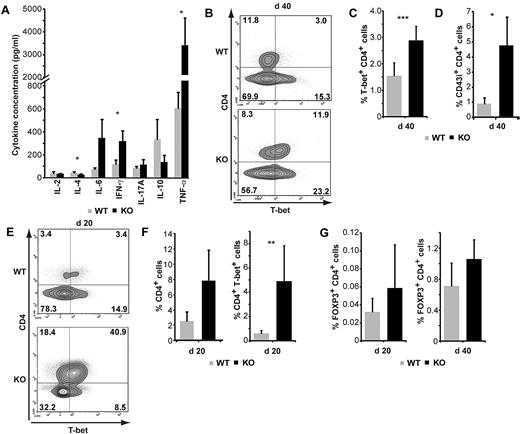 Figure 5. T-cell activation and Th1 bias in recipients of SMAD3-KO grafts. (A) Cytokine bead array analysis of colon extracts on day 40 after AHCT (n = 5). (B-C) Percentage of T-bet+ CD4 T cells among live cells on day 40. (B) One representative contour plot. (C) Mean percentage and SEM for 5 mice per group. (D) Mean percentage of CD43i+ CD4+ T cells among live cells from colon extracts on day 40 after AHCT (n = 7). (E) One representative contour plot showing costaining for CD4 and T-bet on day 20. (F) Percentage of CD4+ cells and of CD4+T-bet+ cells among live cells extracted from the colon on day 20 (n = 8). (G) Percentage of colon CD4 T cells expressing FOXP3 on day 20 and 40 after AHCT. Statistical analyses were performed with Student t test: *P < .05, **P < .01.