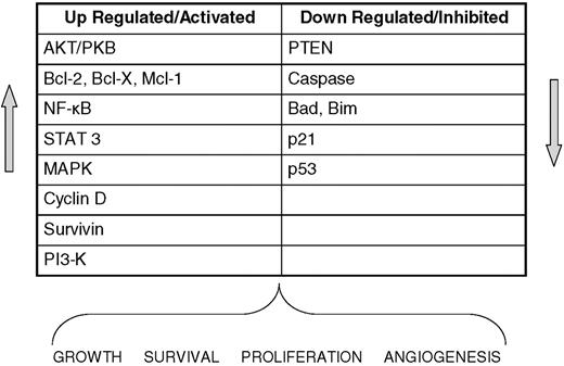 Figure 1. Altered regulation in lymphoma. Key cellular components often dysregulated in malignant lymphocytes that lead to tumor growth, survival, and proliferation.