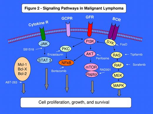 Figure 2. Signaling pathways in malignant lymphoma. Several well-described pathways and potential targets for novel agents.